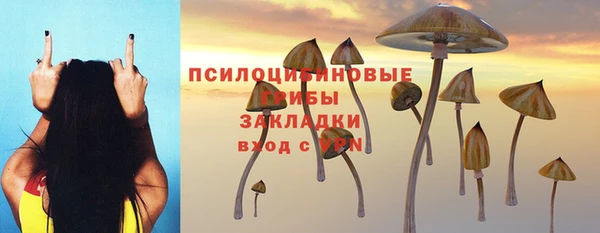 гидра Лиски