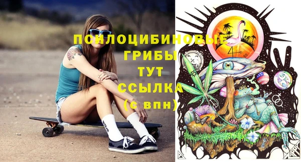 твердый Магадан