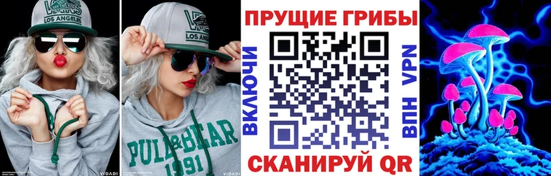цены   Долинск  kraken   Псилоцибиновые грибы мицелий 